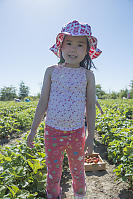 Nara Picking Strawberries