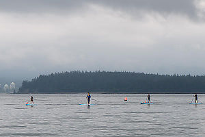Paddle Boarding Past Stanley Park