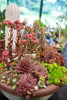 Art Piece Succulent Planter