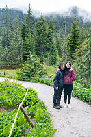 Trail Over Wet Zone