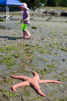 Nara On The Beach With Stars