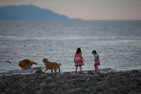 Dogs And Kids At Sunset
