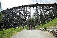 Nara Passed Under Kinsol Trestle