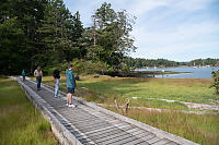 Boardwalk Near Bay