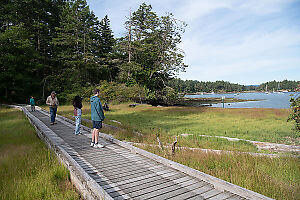 Boardwalk Near Bay