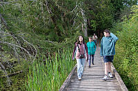 Bridge Over Small Pond