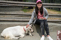 Claira Wants Pet Goat