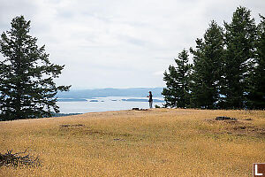 Nara On Ridge