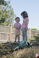 Nara And Claira On The Rock