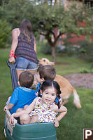 Nara At The Back Of The Wagon