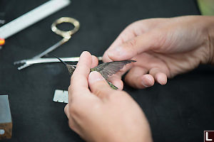 Measuring Wing