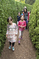 Walking Through Maze