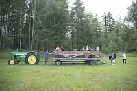 Dinner In The Lower Field