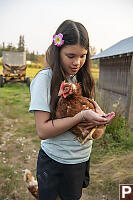 Claira With Chicken And Blackberry