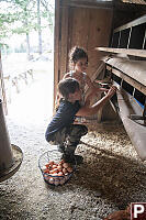 Mackenzie And Arabella Collecting Eggs