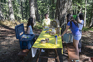 Setting Up Picnic