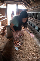 Collecting Eggs With Nearly Full Baskets