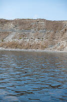 Nests In Cliffs Behind Puffin
