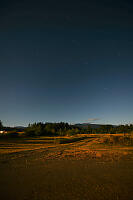 Starry Night Over Fields