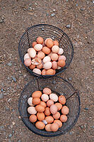 Two Baskets Of Brown Eggs