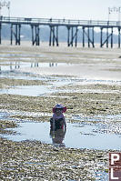 Claira Sitting In APuddle