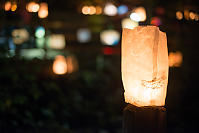 Salmon Stamped Lantern