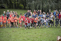 Nara Launching From Start Line