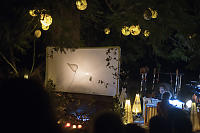 Butterfly Net On Shadow Screen