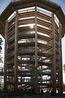 Sun Shining Through Malahat Skywalk