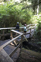 Walking Back Over Zig Zag Bridge