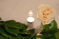 Rose On The Head Table