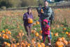 Out Picking Pumpkins