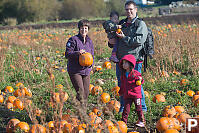 Out Picking Pumpkins