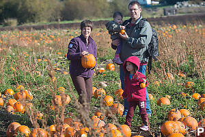 Out Picking Pumpkins