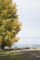Speckled Light At The Beach