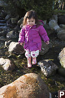 Nara Walking In Stream