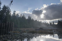 Sheet Piles In Beaver Lake