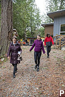 Walking Down Driveway