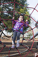 Nara Climbing On Spider Web