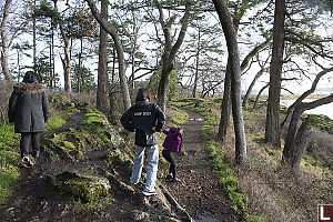 Multiple Trails In Forest