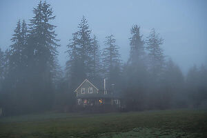 House In Fog