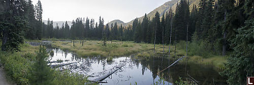 Beaver Pond Early