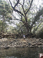 Helen Waiting For Us To Finish Swimming