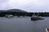 View of Shearwater Marina