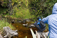 Helen Showing David Love