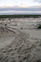 Footprints In Sand Dunes