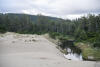 Forest At Edge Of Sand Dunes
