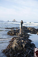 Nara With Large Tide Pool
