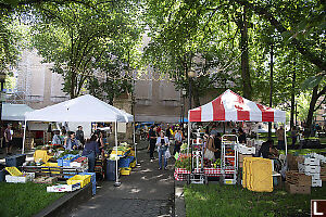 Shemanski Market Under The Lights