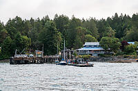 False Bay Ferry Dock